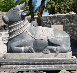 Hindu God nandi Nandi, Shiva's white bull