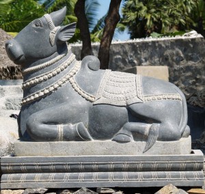 Nandi, Shiva's white bull