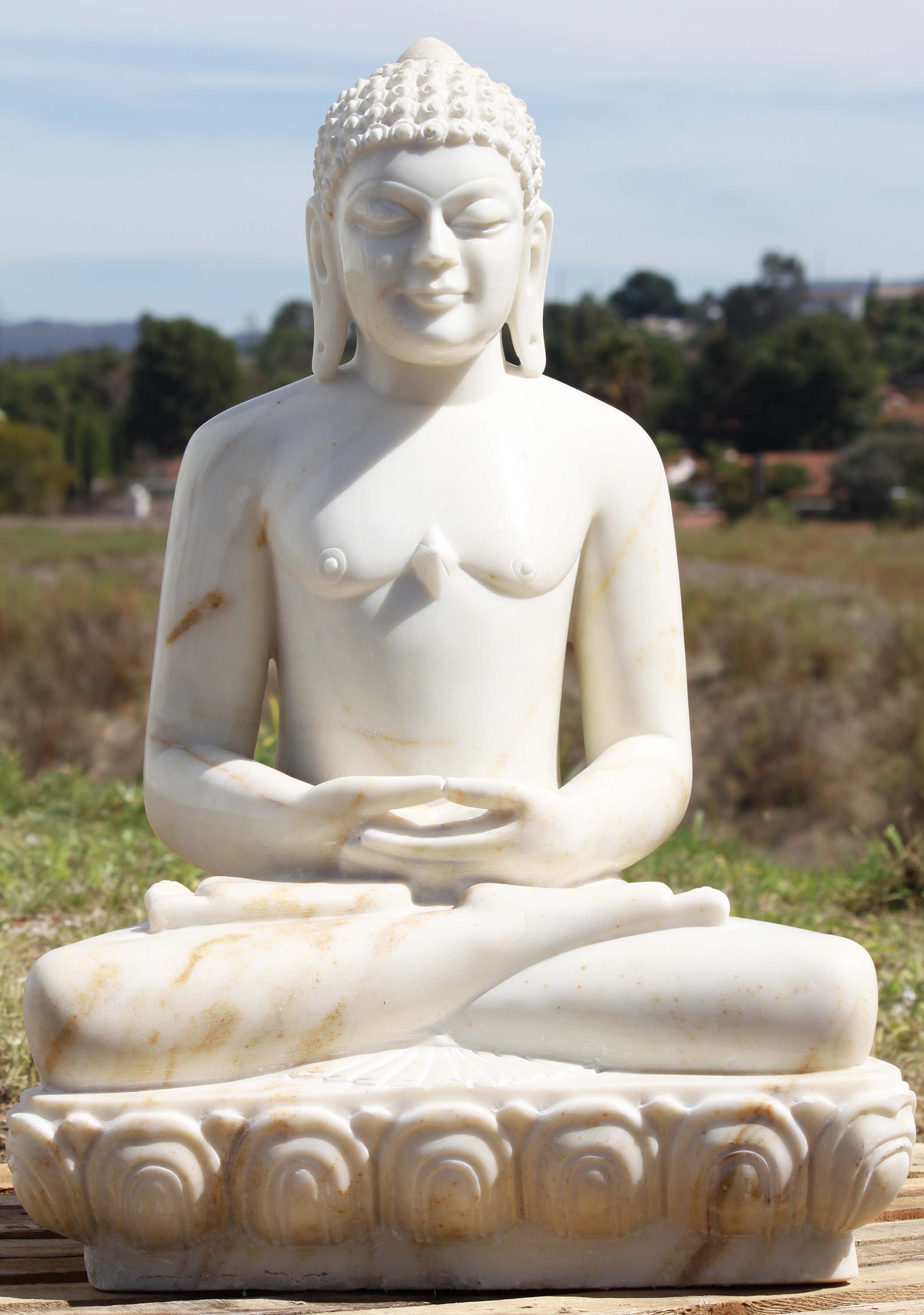 mahavira vardhamana