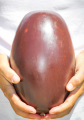 Red Narmada Shiva Lingam Stone with Lines Representing Shiva as a Pillar of Fire 10"