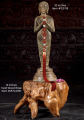 Organic Teak Root Pedestal: Artful Elegance for Altars & Outdoor Decors 13"