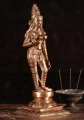 Parvati as Shivakami Panchaloha Bronze Goddess Statue Standing on Lotus Base 14.5"
