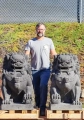 Foo Dog Guardian Lions Shishi Lion Stone Feng Shui Protectors Perfect For Home Entrance 32"