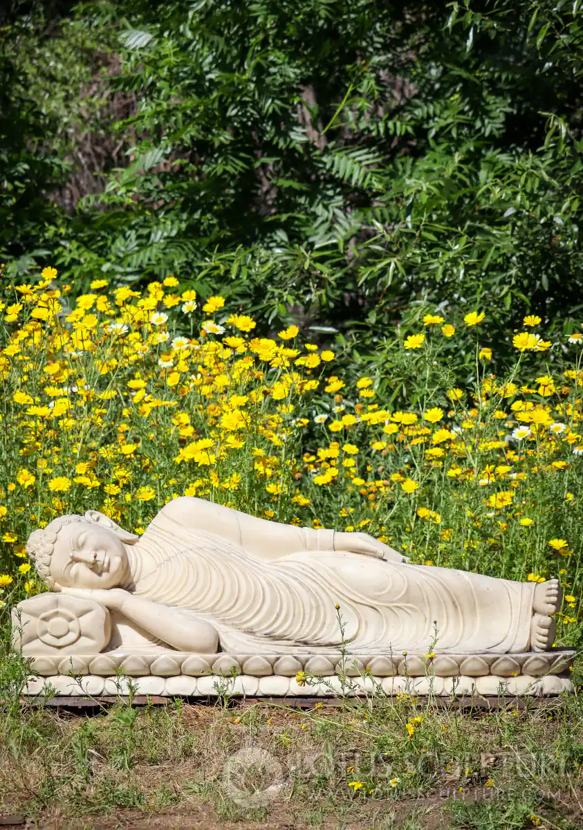 Buddha Marble Garden Sculpture Reclining Hand Carved Sepia Toned on Pillow 48"