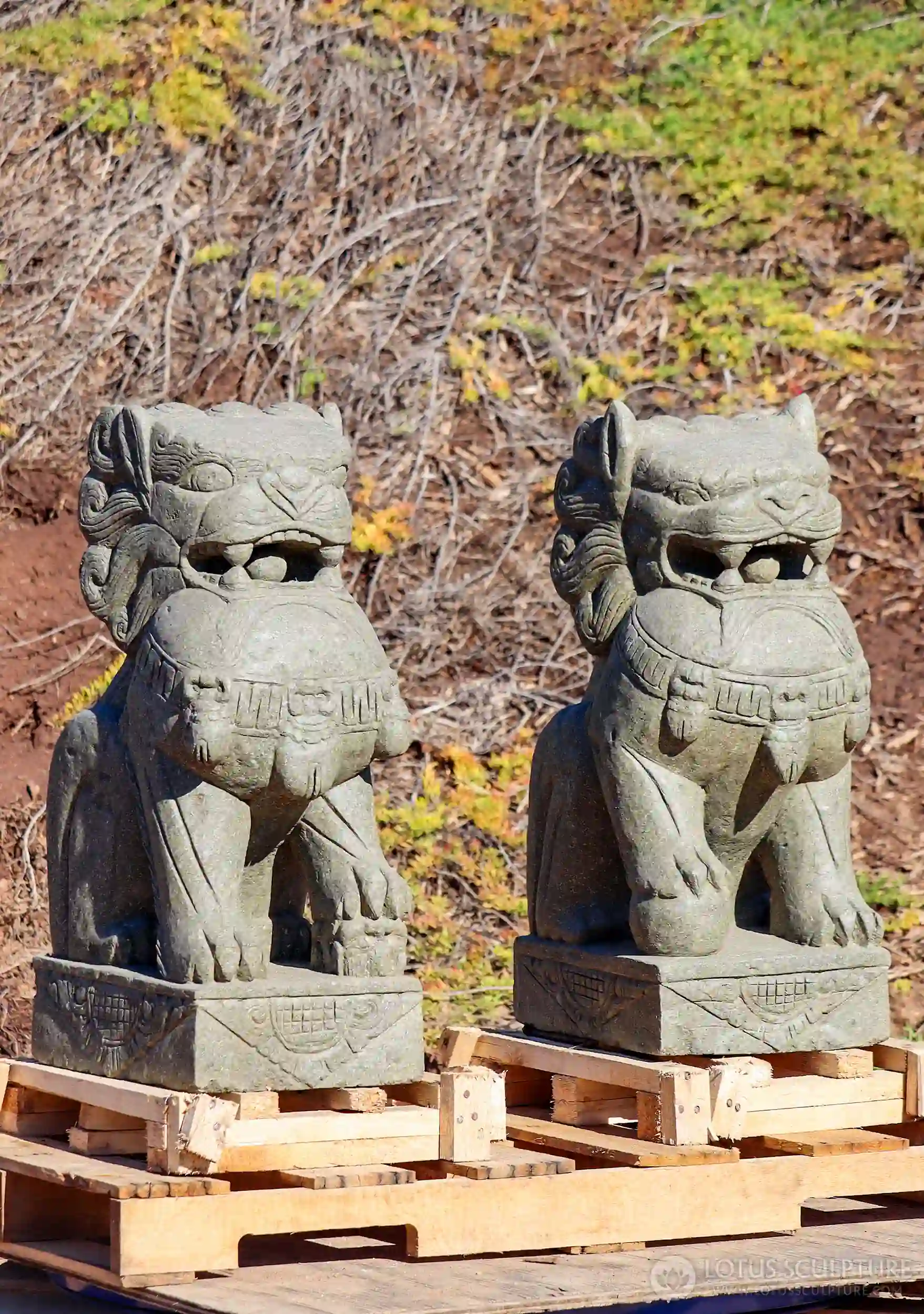 Stone Pair Guardian Shishi Lions or Foo Dogs Garden Statues Hand Carved in Indonesia 31"