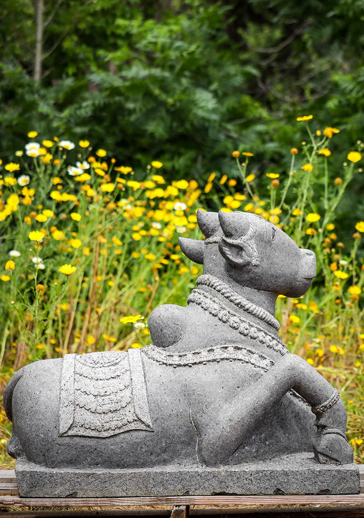 Nandi Black Granite Garden Sculpture Shiva's Sacred Bull in Resting Pose, India 29.5"