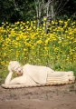 Buddha Marble Garden Sculpture Reclining Hand Carved with Sepia Antiqued Finish 43"