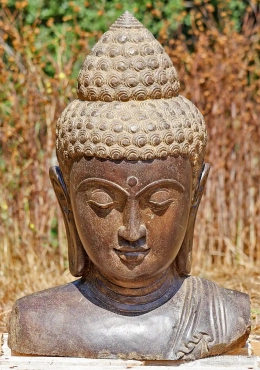 Buddha Head Sculpture in Lava Stone with Saffron Finish from Indonesia for Garden Display 29"